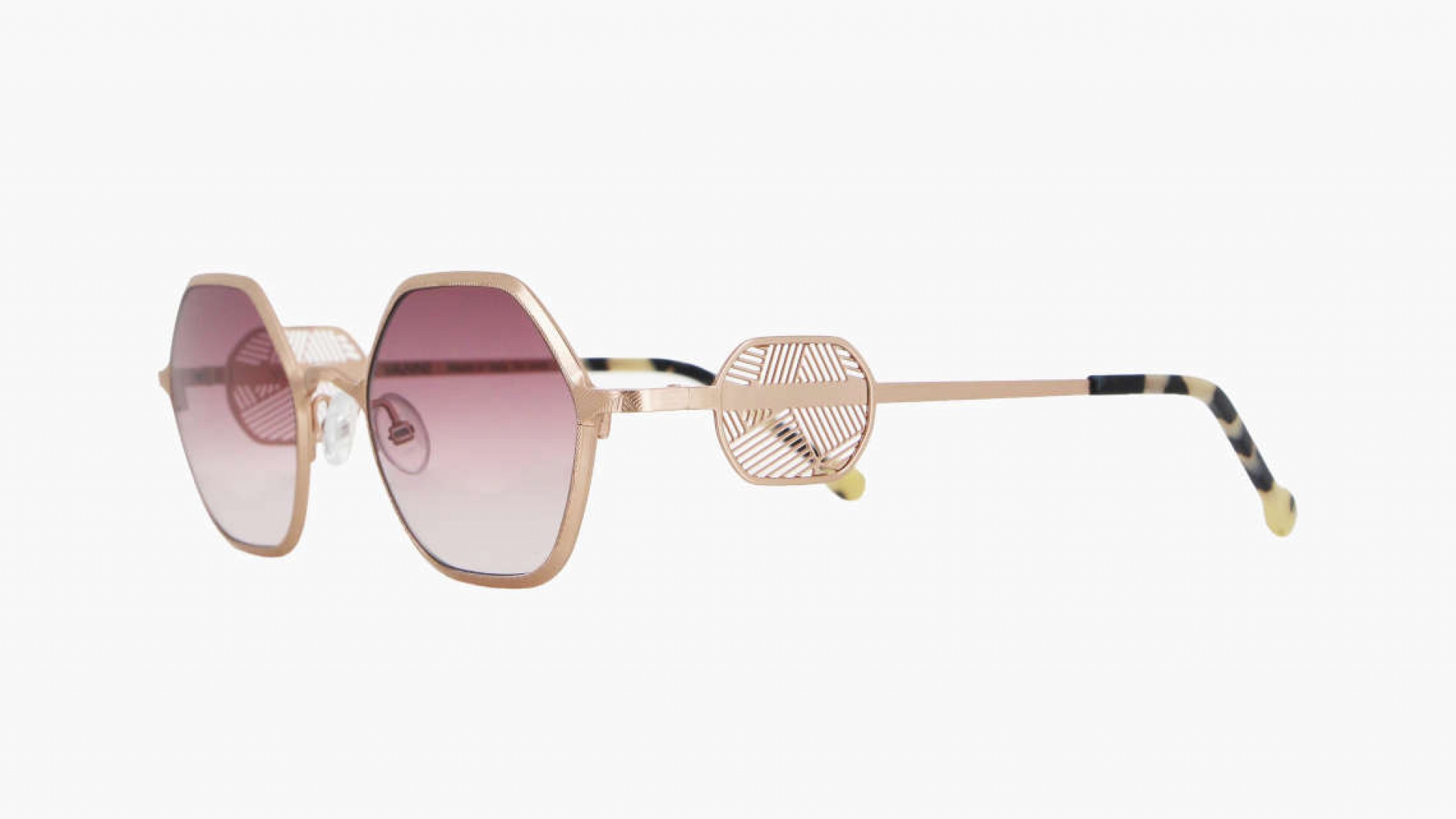 Vanni, Visum collection